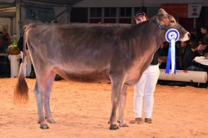 01Duss BS Fantastic Espania